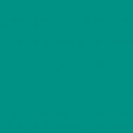 Краска латексная Triora TR-37 silk&baby шелковистый мат NCS S 3040-B50G 10 л