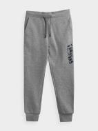 Штани 4F J4Z20-JSPMD214A-25M р. 158 сірий