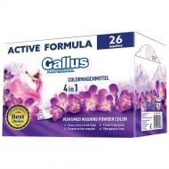 Стиральный порошок Gallus Professional Colorwaschmittel 4в1 1,3 кг