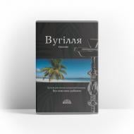 Вугілля кокосове TKN Bvg Індонезія Пач/50