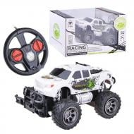 Автомобиль на радиоуправлении YP Toys 1:24 6142R
