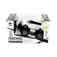 Автомобиль на радиоуправлении YP Toys 1:24 6142D