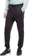 Брюки Energetics Wesley PNT M 432538-050 р. XL черный