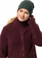 Шапка Jack Wolfskin RIB BEANIE 1903892_4161 р.one size зелений