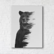 Постер Gray Bear 75x100 см Brushme