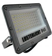 Прожектор Lusterlicht LF 6500K 30 Вт IP65 серый 66144