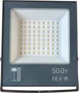 Прожектор Lusterlicht TG-96 6500K 50 Вт IP65 серый 66274
