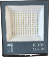 Прожектор Lusterlicht TG-96 6500K 100 Вт IP65 сірий 66281