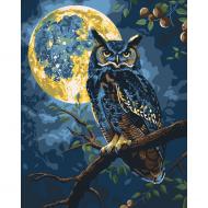 Картина по номерам Хранитель звездного света 11722-АС с металлизированными красками 40х50 см см ART CRAFT
