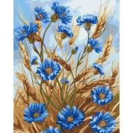 Картина по номерам Васильки 13127-AC 40х50 см см ART CRAFT