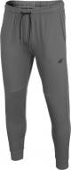 Брюки 4F D4Z20-SPMTR111-25S р. XL серый Брюки 4F D4Z20-SPMTR111-25S р. XL серый