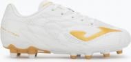 Бутсы Nike EVOLUTION JR 2602 WHITE FIRM GROUND EVJS2602FG р.33 белый