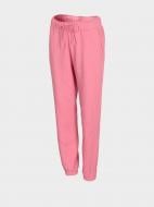 Штани 4F D4Z20-SPDD242-54S р. XS рожевий