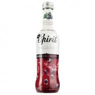 Слабоалкогольный напиток MG SPIRIT Vodka Blubery 5,5% 0,275 л