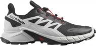 Кроссовки мужские Salomon SUPERCROSS 4 L41736600 р.46 белые