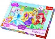Пазл Trefl Принцеси: Відпочинок у саду TFL-14223