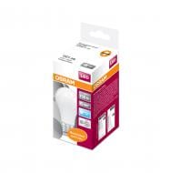 Лампа світлодіодна Osram Star 13 Вт A60 матова E27 220 В 6500 К