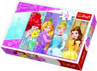 Пазл Trefl Казкові принцеси TFL-18205