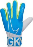 Вратарские перчатки Nike NK GK MATCH-FA19 р. 7 синий GS3882-486