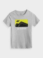 Футболка 4F J4Z20-JTSM222B-25M серый