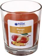 Свічка ароматична Müller-Kerzen Mango 790 г