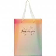 Пакет подарунковий Just for you-4 8503-40-A 25х19 см Axent Пакет подарунковий Just for you-4 8503-40-A 25х19 см Axent