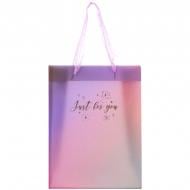Пакет подарунковий Just for you-3 8503-39-A 25х19 см Axent Пакет подарунковий Just for you-3 8503-39-A 25х19 см Axent