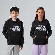 Джемпер THE NORTH FACE TEEN DREW PEAK PULLOVER HOODIE NF0A8EHHJK31 р.M черный