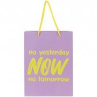 Пакет подарунковий NOW 8501-27-A 18х24 см Axent Пакет подарунковий NOW 8501-27-A 18х24 см Axent