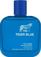 Туалетная вода TRI Fragrances Tiger Blue 100 мл