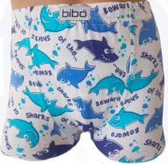 Трусы для мальчика Bibo р.128 белый с рисунком 22036