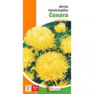 Насіння Яскрава айстра піоновидна Соната