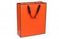 Пакет подарочный 28x10x33 см 3123-4445