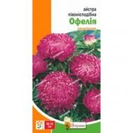 Насіння Яскрава айстра піоновидна Офелія