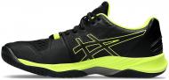 Кроссовки мужские Asics SKY ELITE FF 2 1051A064-004 р.44 черные