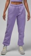 Брюки Jordan W J BRKLN FLC PANT 2 FN4494-500 р. XS фиолетовый