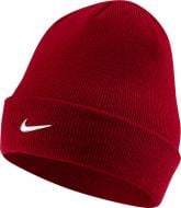 Шапка Nike Y Nk Beanie Metal Swoosh CI3711-620 р.one size червоний