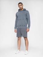 Шорти 4F 4FSS23TSHOM052-22S р. L сірий