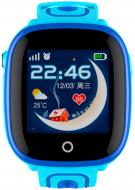 Наручные часы Skmei DF31 blue (DF31GBOXBL)
