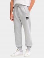 Брюки THE NORTH FACE M FINE REGULAR TAPERED JOGGER NF0A8C1KDYX1 р. 2XL серый