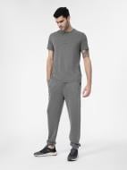 Брюки 4F 4FSS23TTROM134-22S р. L серый