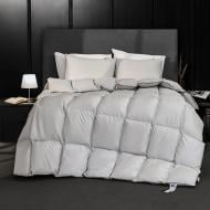 Одеяло пуховое № 067 Silver Cloud зима+ 200x220 см MirSon серебряный