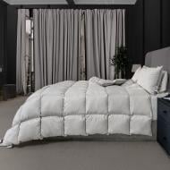 Одеяло пуховое № 066 Silver Cloud зима 155x215 см MirSon серебряный