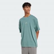 Футболка Adidas M A SZN W T JN0610 р.S зеленый