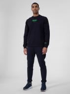 Штани 4F 4FSS23TTROM143-31S р. 2XL синій