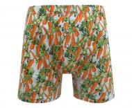 Боксери чоловічі чоловічі Namaldi 010-1501L різнокольоровий