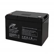 Батарея аккумуляторная для ИБП Ritar LFP12.8V100Ah G1 (Heater) литиевая с подогревом 12 В 100 Aч LiFePo4 Батарея аккумуляторная для ИБП Ritar LFP12.8V100Ah G1 (Heater) литиевая с подогревом 12 В 100 Aч LiFePo4