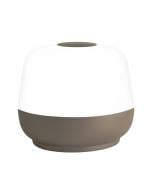 Светильник светодиодный Goldlux Samba LED-модуль 1,8 Вт IP44 серый 329394