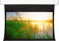 Экран Projecta Elpro Concept 173x300 см, HC, BD 20 см