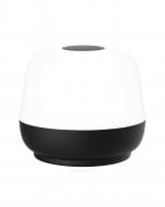 Светильник уличный декоративный Goldlux Samba LED-модуль 1,8 Вт IP44 черный 330109